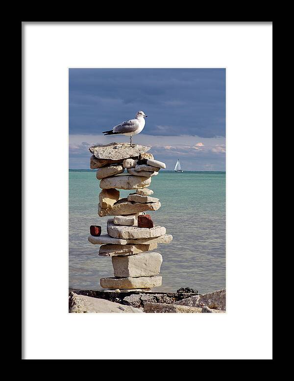 Seagull Framed Print featuring the photograph King of the Cairn - seagull atop cairn with sailboat at Lake Michigan shoreline at Milwaukee by Peter Herman