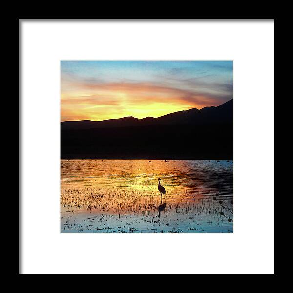 Lake Framed Print featuring the photograph Lake Refuge Sunset by Jerry Griffin