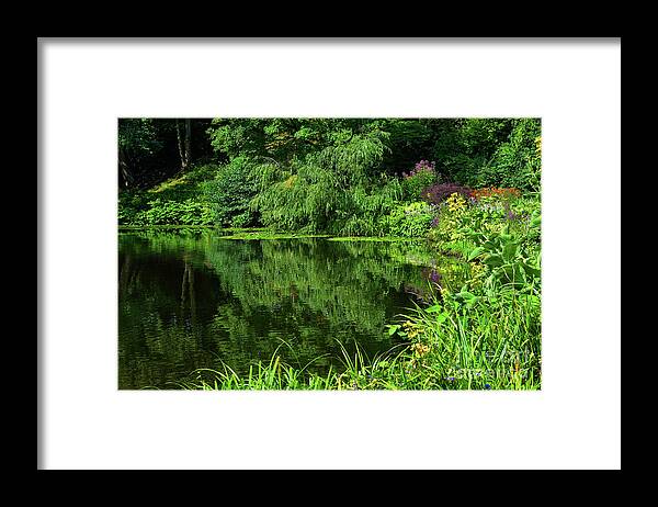 Floral Framed Print featuring the photograph Lakeside Reflections by Yvonne Johnstone