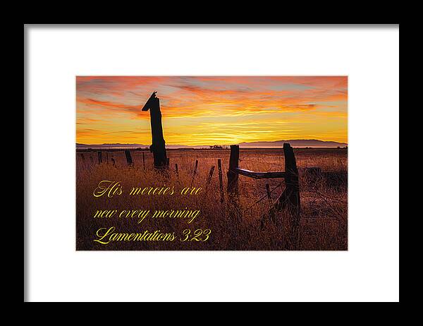 Grass Framed Print featuring the photograph Lamentations Three Twenty Three by Mike Lee
