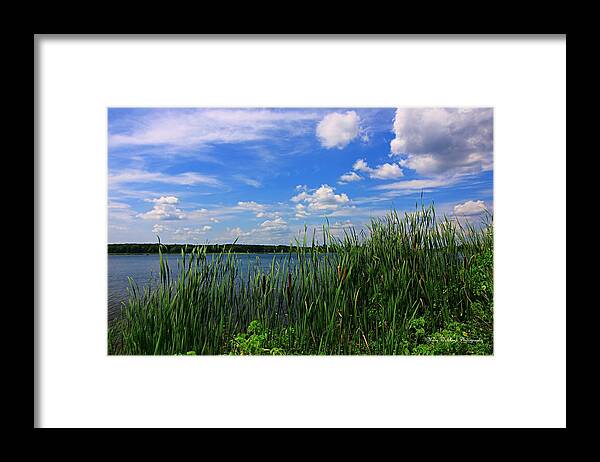 Landscape Framed Print featuring the photograph Land, Water and Sky by Mary Walchuck