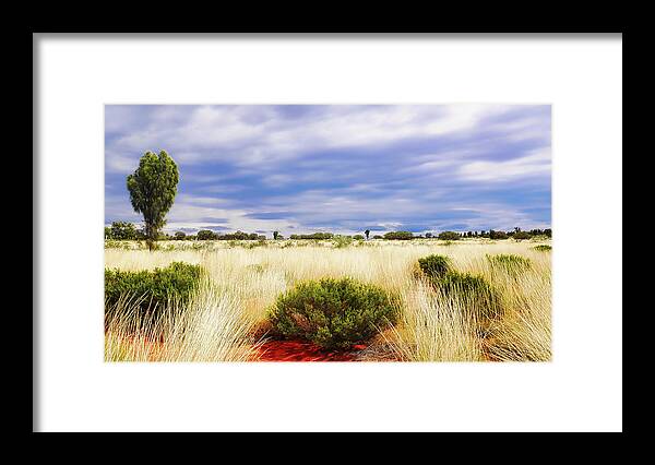 Central Australia Framed Print featuring the photograph Landscape of Central Australia by Lexa Harpell
