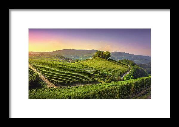 Vineyards Framed Print featuring the photograph Langhe vineyards and trees on top of the hill by Stefano Orazzini