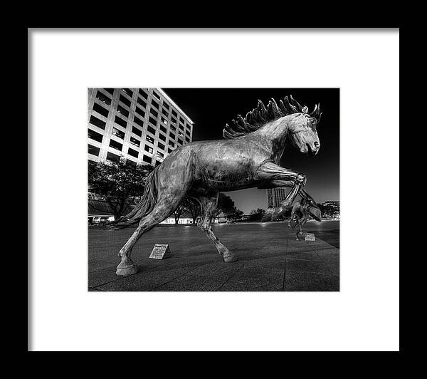 Las Colinas Framed Print featuring the photograph Las Colinas Mustang 01 by HawkEye Media