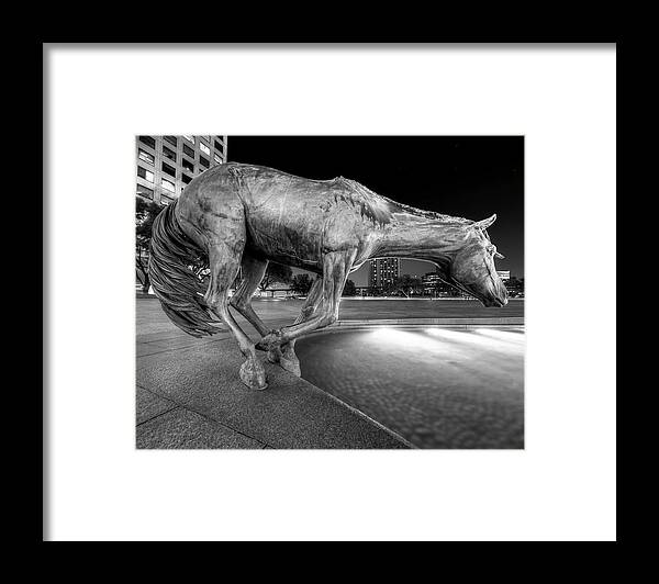Horse Framed Print featuring the photograph Las Colinas Mustang 02 by HawkEye Media