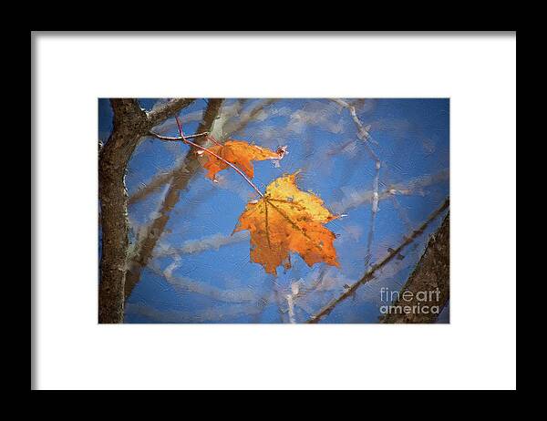 Leaf Framed Print featuring the digital art Last Leaves - Autumn Memoir by Rehna George