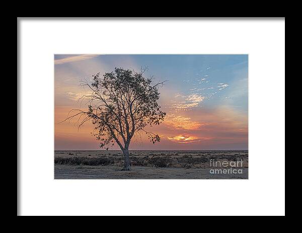 Sunset Framed Print featuring the photograph Last Night at Allensworth by Jeff Hubbard