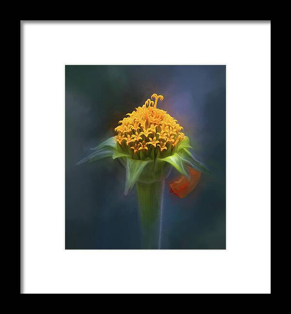 Flower Framed Print featuring the photograph Last Petal by Karen Sirnick