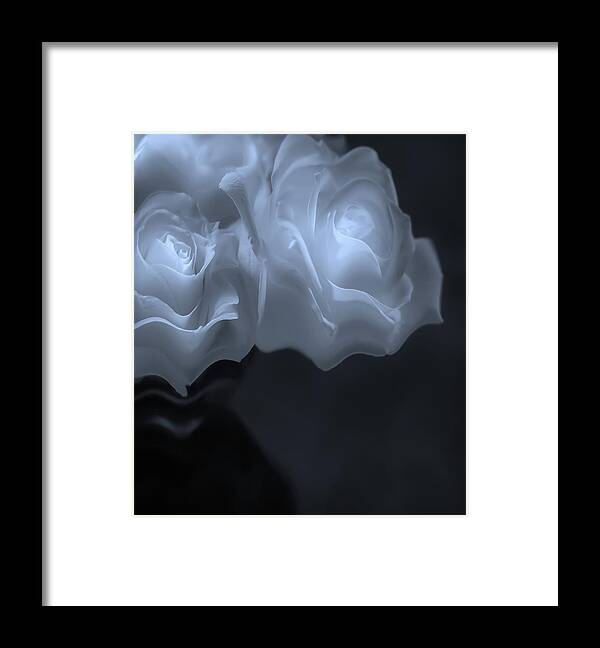 White Roses Framed Print featuring the photograph Lasting Light by Sylvia Goldkranz