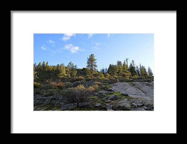 Yosemite Framed Print featuring the photograph Late Afternoon Near Tunnel View by Eric Forster