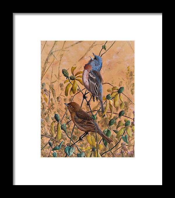 Lazuli Bunting Framed Print featuring the painting Lazuli Bunting by Barry Kent MacKay