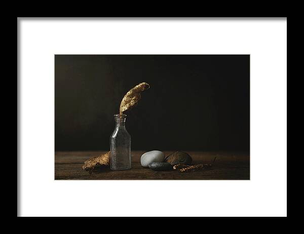 Still Life Framed Print featuring the photograph Leaf Bottle Rocks by Scott Norris