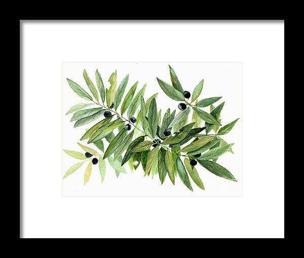 Botanical Framed Print featuring the painting Leaves and Berries by Laurie Rohner
