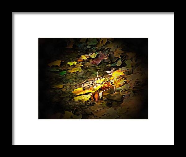 Leaves Framed Print featuring the photograph Leaves in the Creek by Christopher Reed