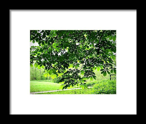  Framed Print featuring the photograph Leaves No.2 by Gordon James