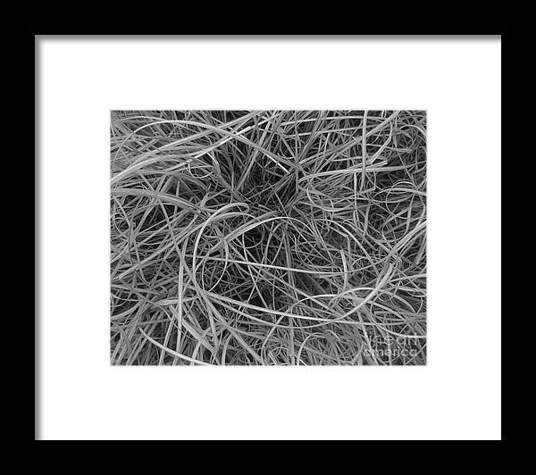 Leaves Of Grass Framed Print featuring the photograph Leaves of grass by Martina Rall