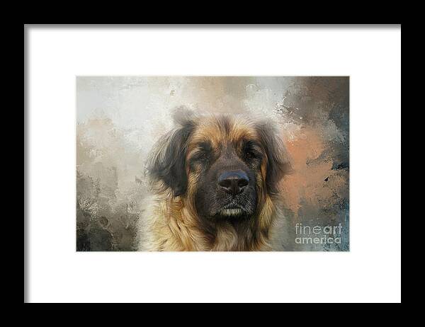 Leonberger Framed Print featuring the photograph Leonberger Dog Portrait Two by Elisabeth Lucas