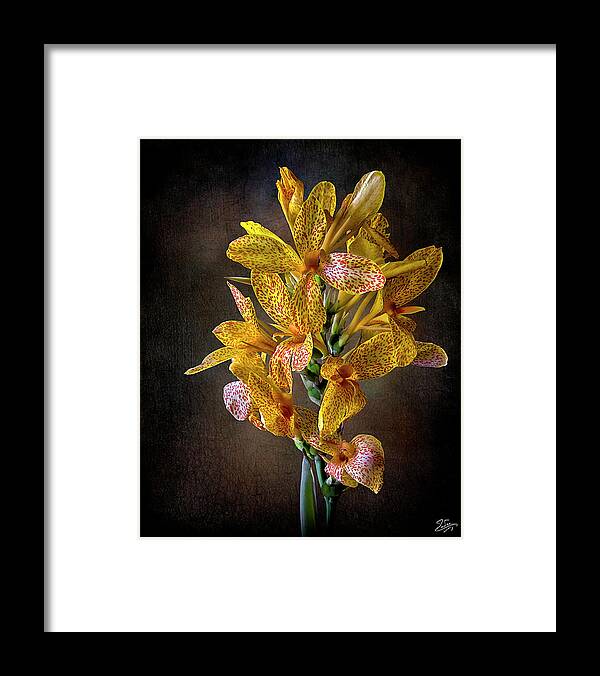 Flower Framed Print featuring the photograph Leopard Lilies by Endre Balogh