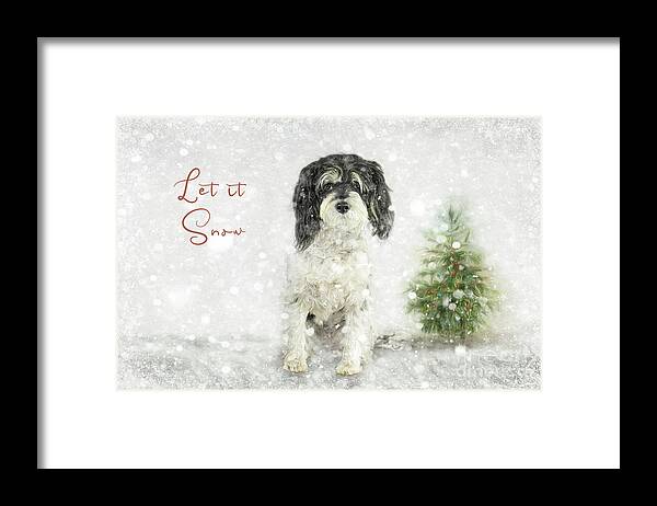 Let It Snow Framed Print featuring the photograph Let it Snow by Amy Dundon