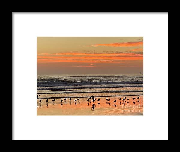 Birds Framed Print featuring the photograph Lets go by LeLa Becker