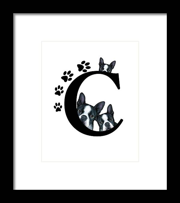 Letter C Framed Print featuring the mixed media Letter C Monogram Boston Terrier Dogs by Lucie Dumas