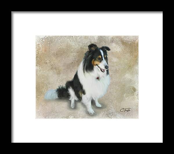 Dogs Framed Print featuring the mixed media Lexi by Colleen Taylor