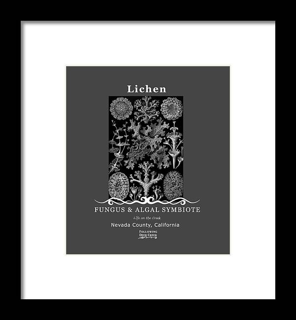 Lichen Framed Print featuring the digital art Lichen by Lisa Redfern