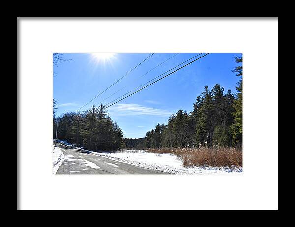 Life Framed Print featuring the photograph Life and Death of Winter 1 by Nina Kindred
