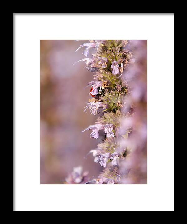 Life Framed Print featuring the photograph Life in the flower garden 3 by Jaroslav Buna
