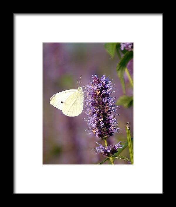 Life Framed Print featuring the photograph Life in the flower garden 4 by Jaroslav Buna