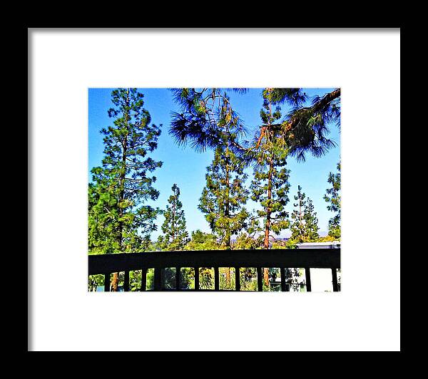 Trees Framed Print featuring the photograph Life Is Good by Andrew Lawrence