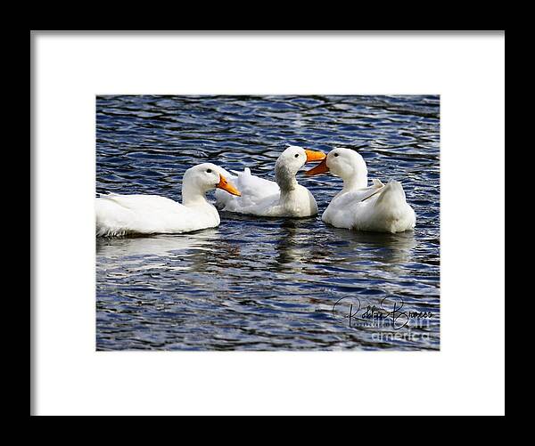 Life Framed Print featuring the photograph Life Is Precious - Protect It by Philip And Robbie Bracco