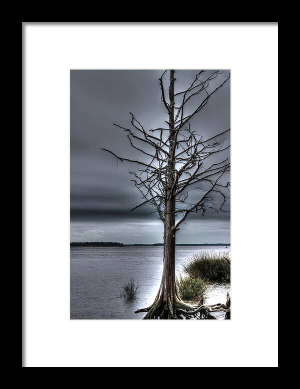 Hdr Framed Print featuring the photograph Light Aura by Michele Caporaso