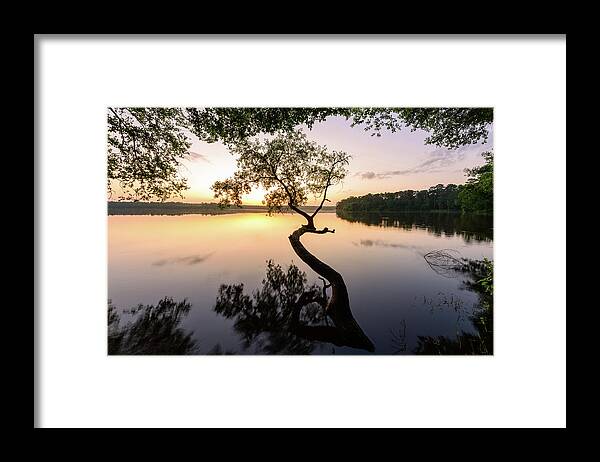 Conroe Framed Print featuring the photograph Light the Way by Michael Scott