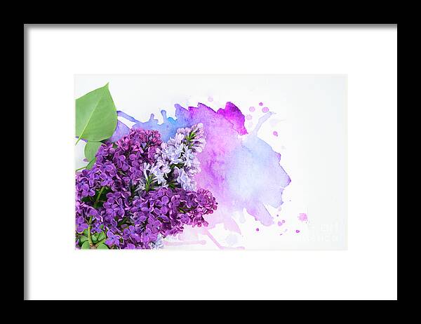 Lilac Framed Print featuring the photograph Lilac flowers on watercolor by Anastasy Yarmolovich