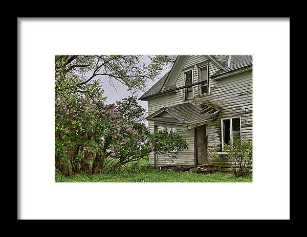 Lilacs Framed Print featuring the photograph Lilacs Remember by Alana Thrower