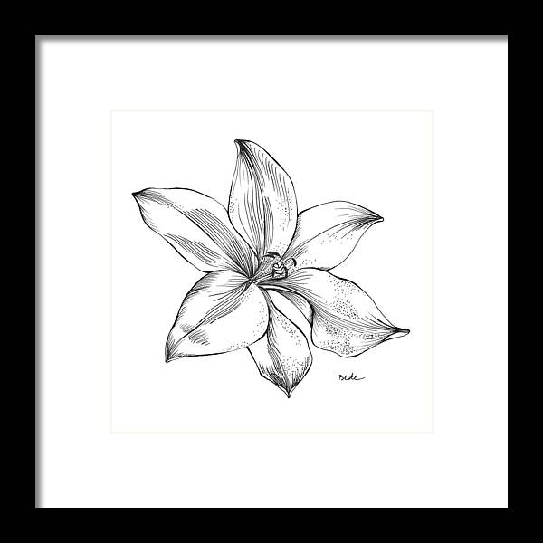Lily Hawaii Drawing Illustration Black White Kauai Pen Indiaink Opalux Framed Print featuring the drawing Lily I by Catherine Bede