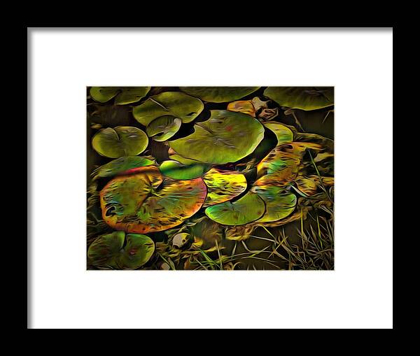 Lily Framed Print featuring the mixed media Lily Pads by Christopher Reed