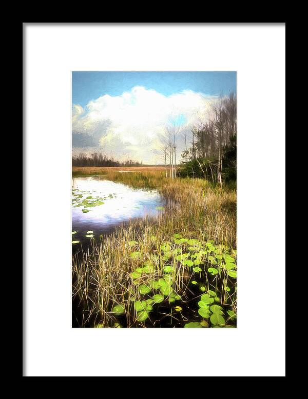 Clouds Framed Print featuring the photograph Lily Pads Under the Clouds Painting by Debra and Dave Vanderlaan