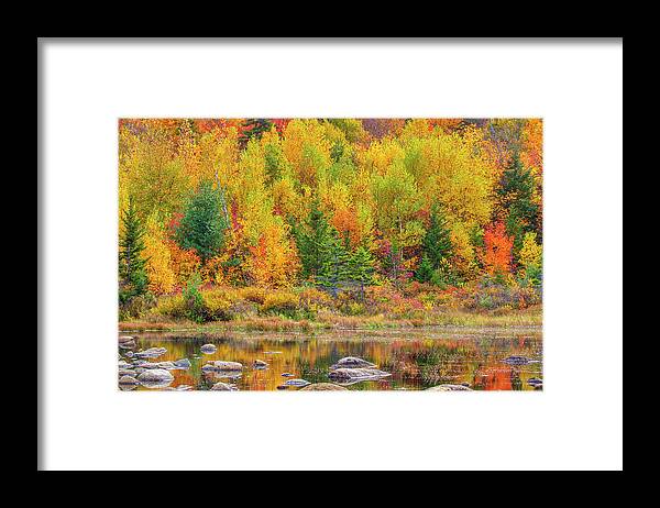 Lily Pond Framed Print featuring the photograph Lily Pond in the New Hampshire White Mountains by Juergen Roth