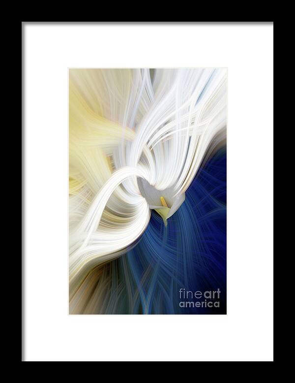 Lily Framed Print featuring the digital art Lily Twirl by Elaine Teague