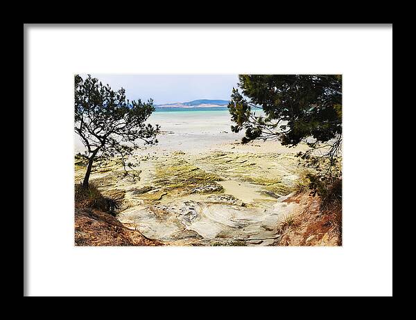 Tantalising Tasmania Series By Lexa Harpell Framed Print featuring the photograph Lime Bay Tasmania 5 by Lexa Harpell
