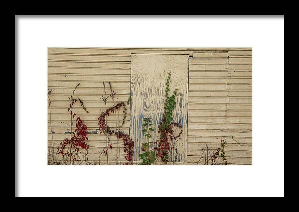Wall Framed Print featuring the photograph Lines and Vines by Cathy Kovarik