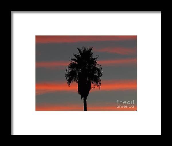 Sunset Framed Print featuring the photograph Lines in the Night by Chris Tarpening