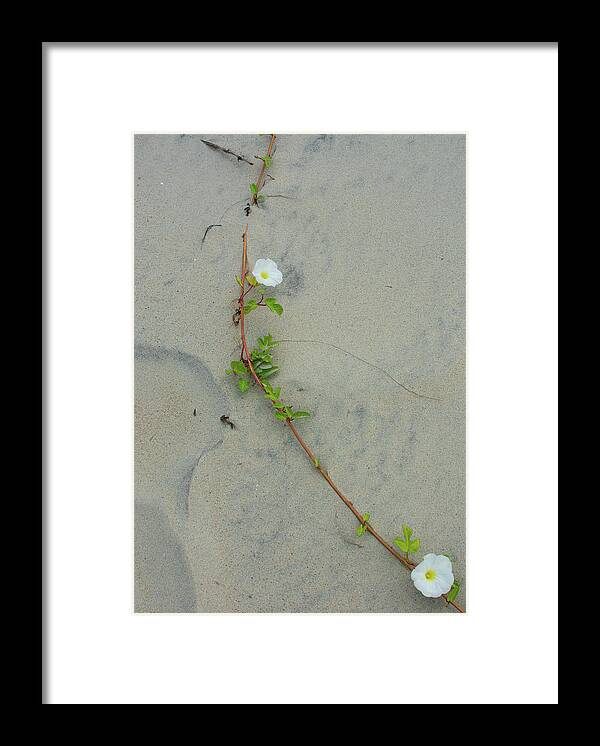Minimalism Framed Print featuring the photograph Lines on the Sand by Liz Albro