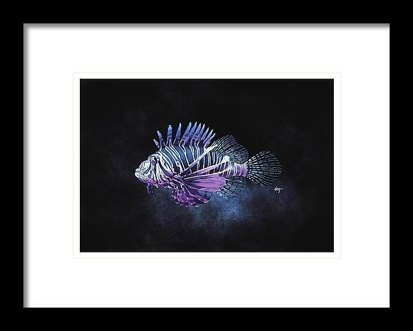 Fish Framed Print featuring the painting Lion Fish Study by Tom Gehrke