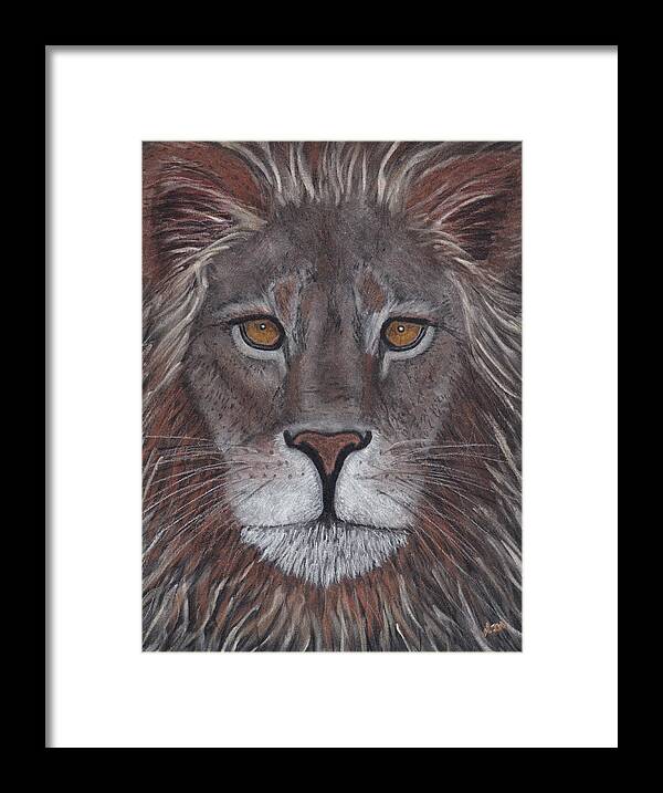 Lion Framed Print featuring the drawing Lion by Nicole I Hamilton
