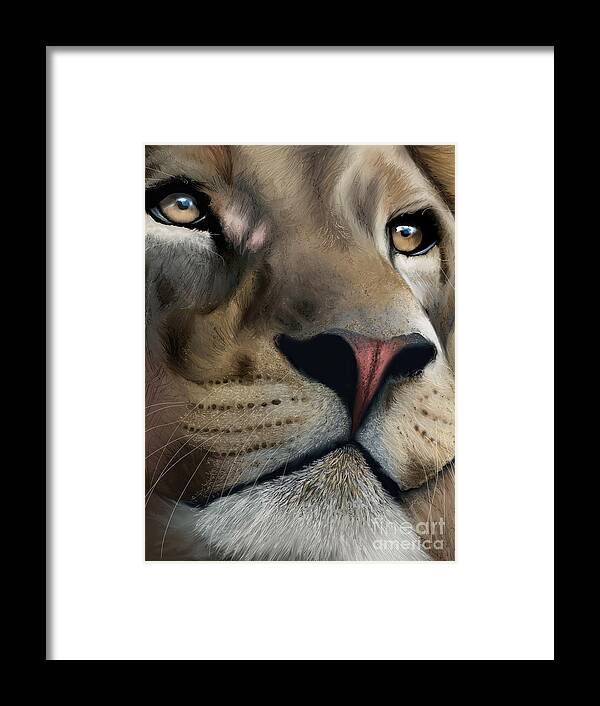 Animal Framed Print featuring the digital art Lion study 1 by Darren Cannell