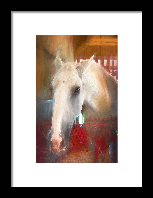 Horse Framed Print featuring the photograph Lipizzaner Portrait by Ginger Stein