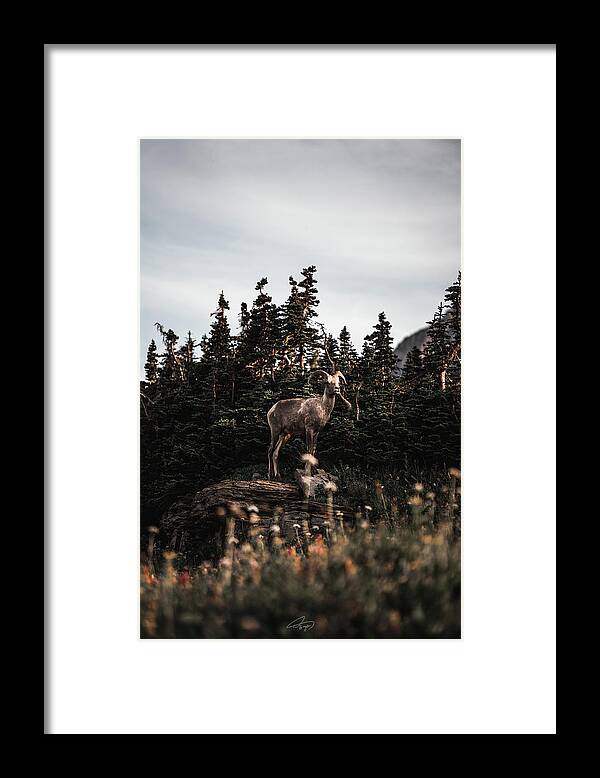  Framed Print featuring the photograph Little Bighorn by William Boggs
